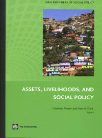 Assets, livehoods, and social policy