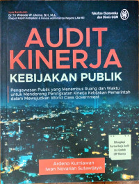 Audit kinerja kebijakan publik