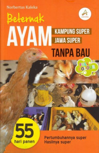 Beternak ayam ampung super jawa super tanpa bau
