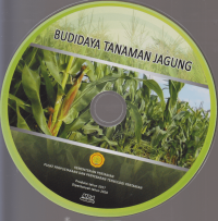 Budidaya Tanaman Jagung