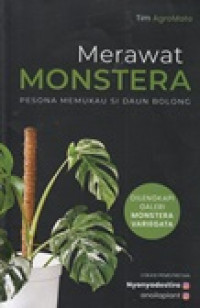 Merawat monstera: pesona memukau si daun bolong
