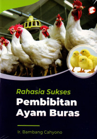 Image of Rahasia sukses pembibitan ayam buras