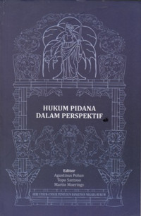 Hukum Pidana Dalam Perspektif