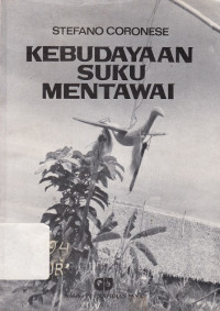 Kebudayaan Suku Mentawai
