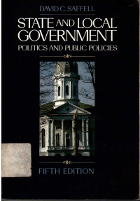 State and local government politics and public policies