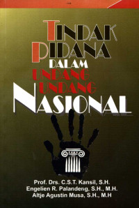 Tindak Pidana dalam Undang-Undang Nasional